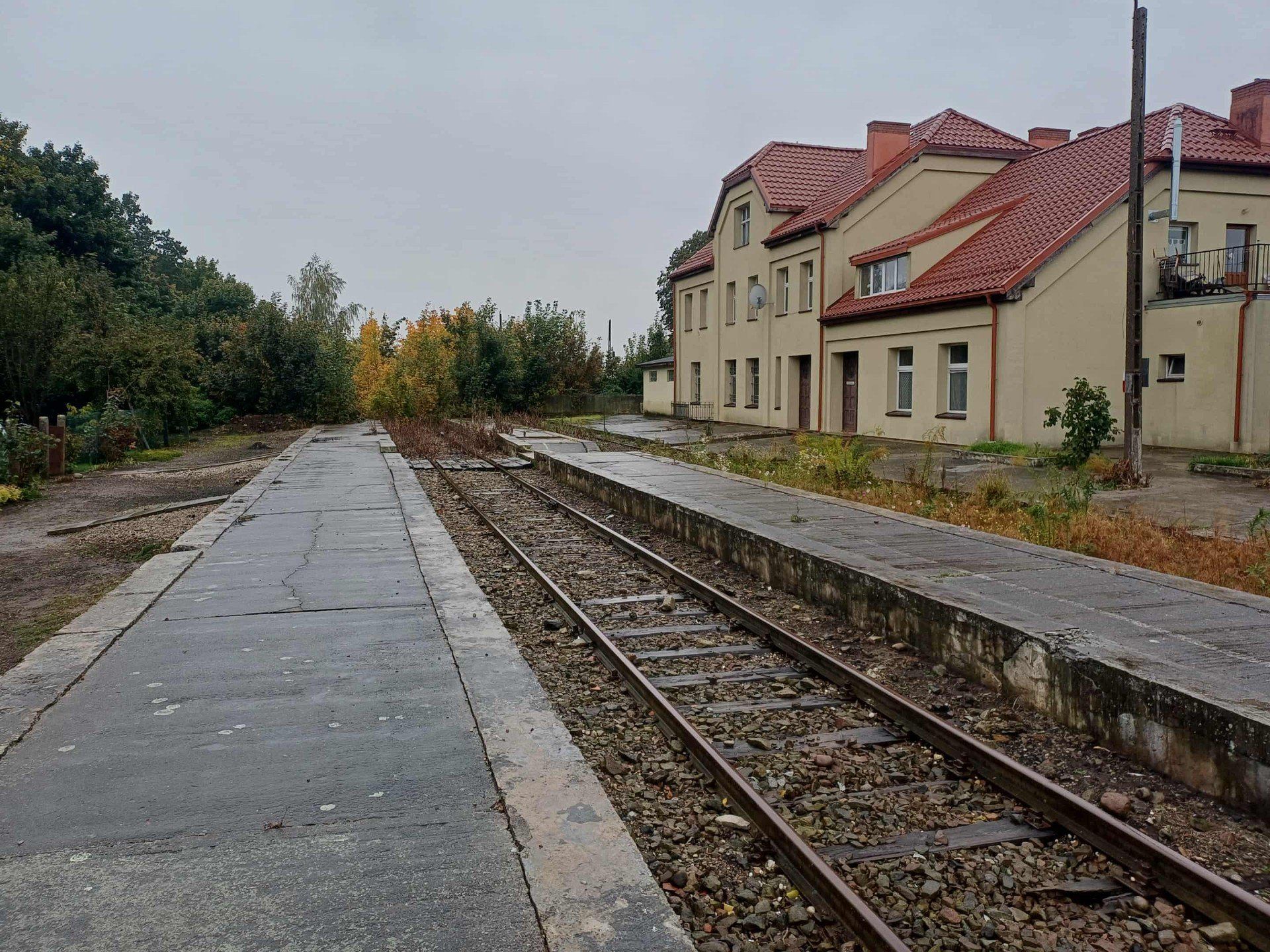 Czy wróci pociąg przez Nowy Staw do Nowego Dworu Gdańskiego?