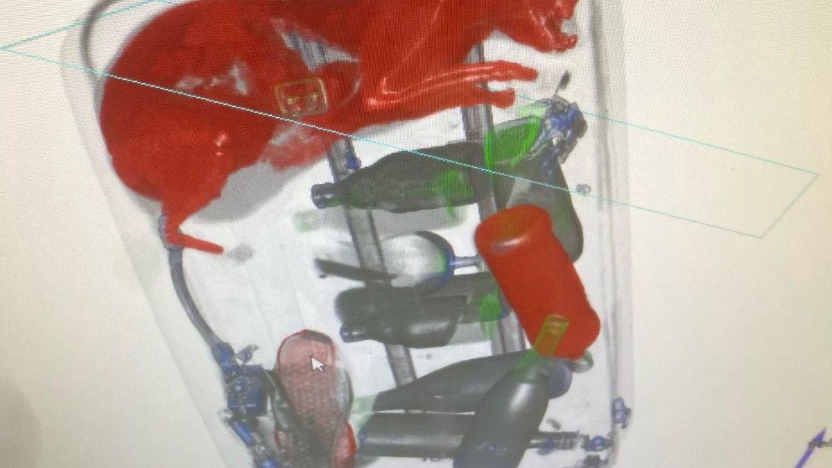 Oficer TSA nie dowierzał, gdy zobaczył zawartość bagażu