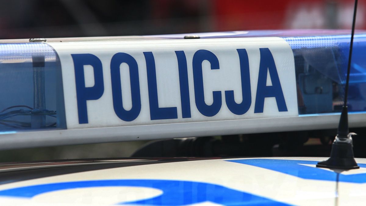 policja