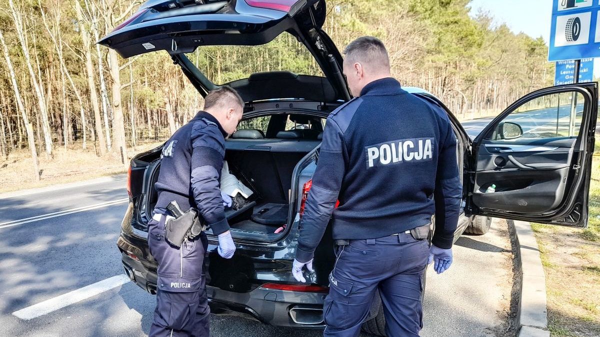 Zdjęcie ilustracyjne do artykułu