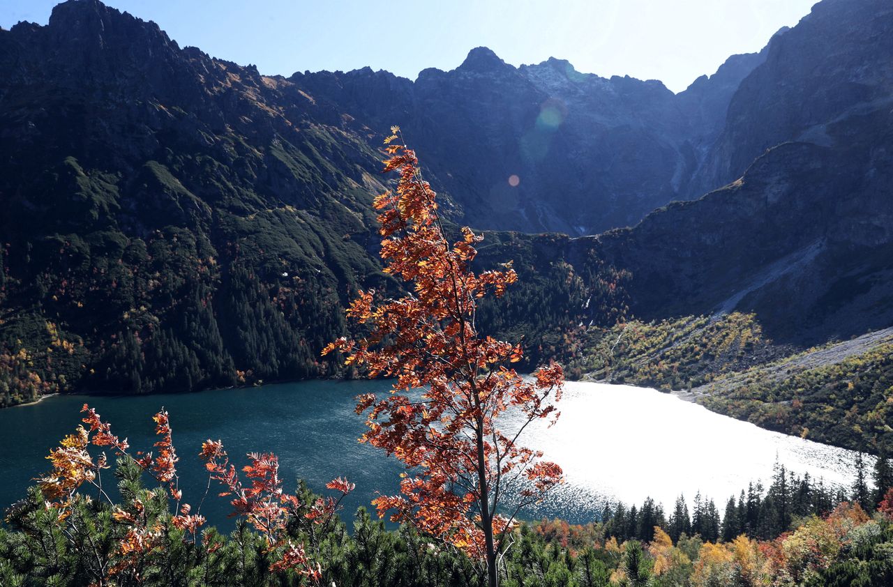 Tatry. Kolejna śmierć w polskich górach