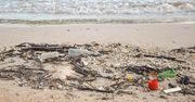 Mielno ma problem. Śmieci na plażach przyciągają dziki