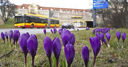 Pogoda w Warszawie w środę 21 kwietnia. Trochę słońca i kolejna burza