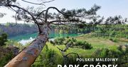 Odkryj Polskie Malediwy – Park Gródek w Jaworznie: arboretum, lazurowa woda