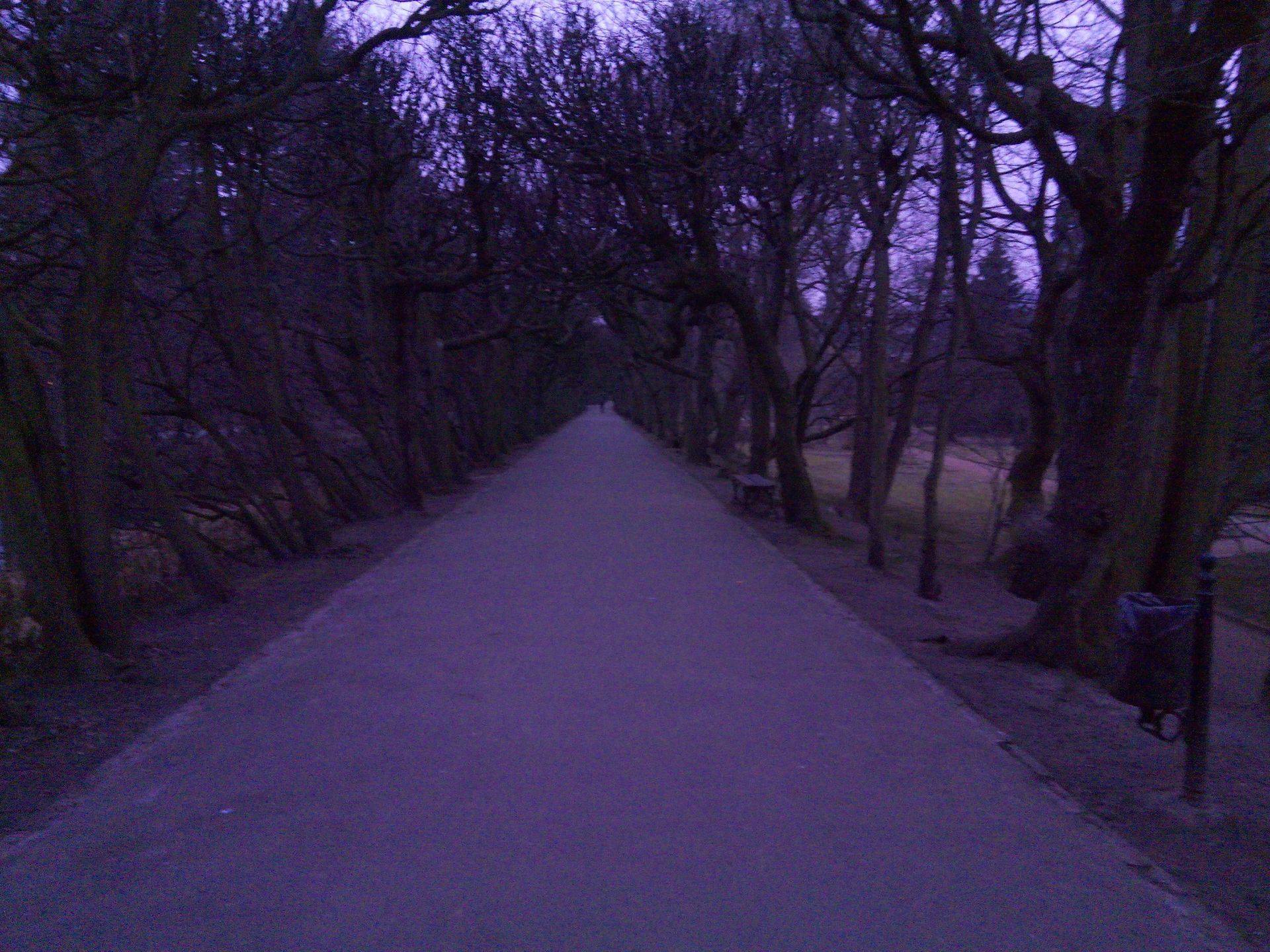 Goclever Insignia 550i - test i recenzja taniego phabletu 38