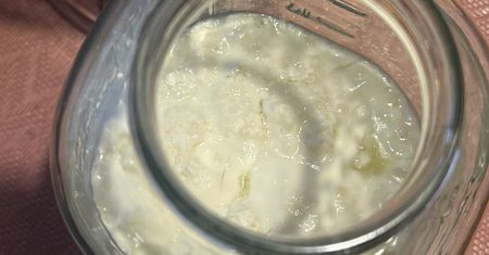 Kefir z grzybka tybetańskiego. Jak działa na organizm?