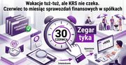 Wakacje tuż-tuż, ale KRS nie czeka. Czerwiec to miesiąc sprawozdań finansowych w spółkach