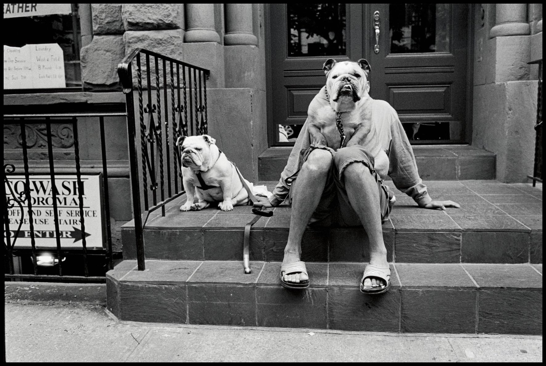 Elliott Erwitt - "Woody Allen świata fotografii" [inspiracja] 4
