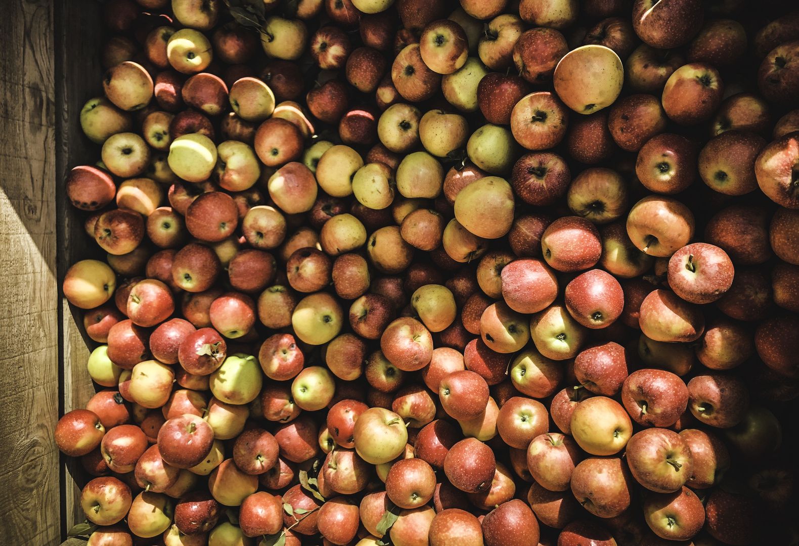 A crate of Red Apples at the Street Market, Baiona
A crate of fresh apples at a stand in the street market of Sabaris, Baiona (Spain)