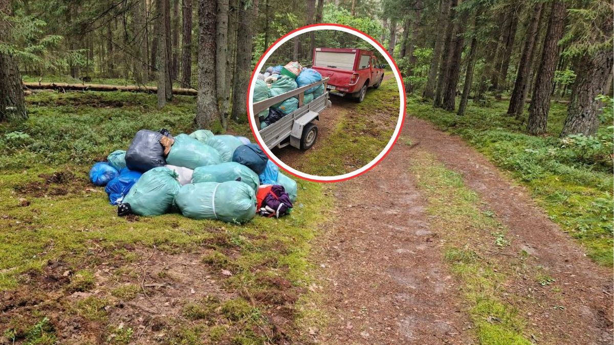Ręce opadają. Ktoś urządził sobie wysypisko w środku lasu