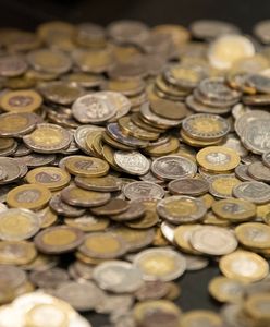 Dwuzłotówka warta kilkaset złotych. Może masz ją w portfelu