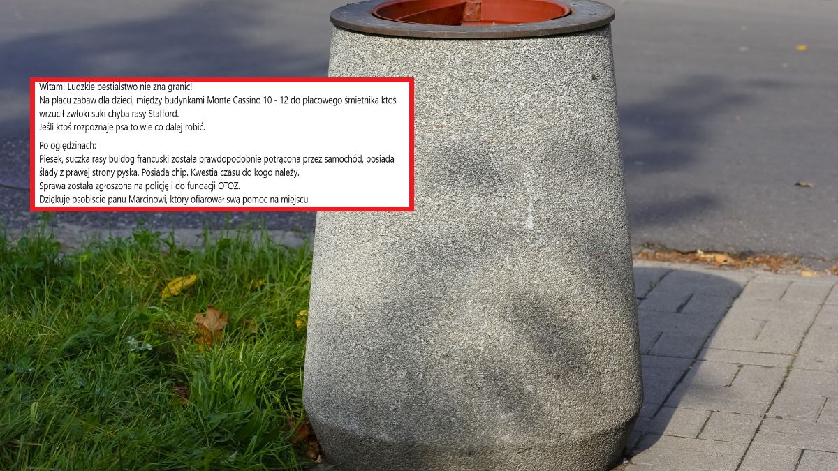 Warszawa: zwłoki suni w koszu na śmieci