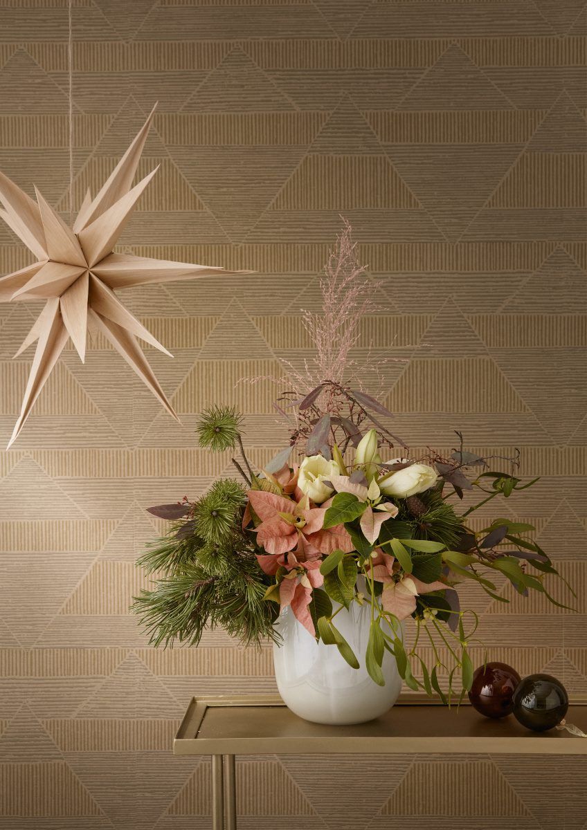 2024_Poinsettia_01000_Golden_Elegance_04