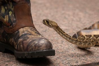 25-latek zmarł po ukąszeniu przez grzechotnika. Rodzina szuka sprawiedliwości
