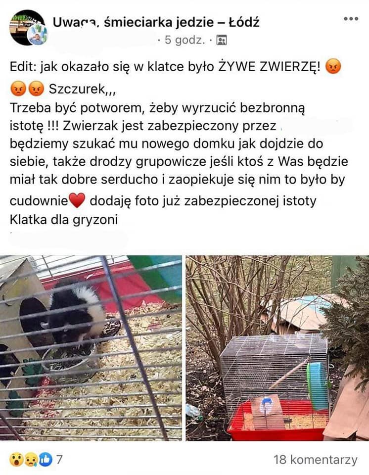 zwierzę wyrzucone na śmietnik w Łodzi