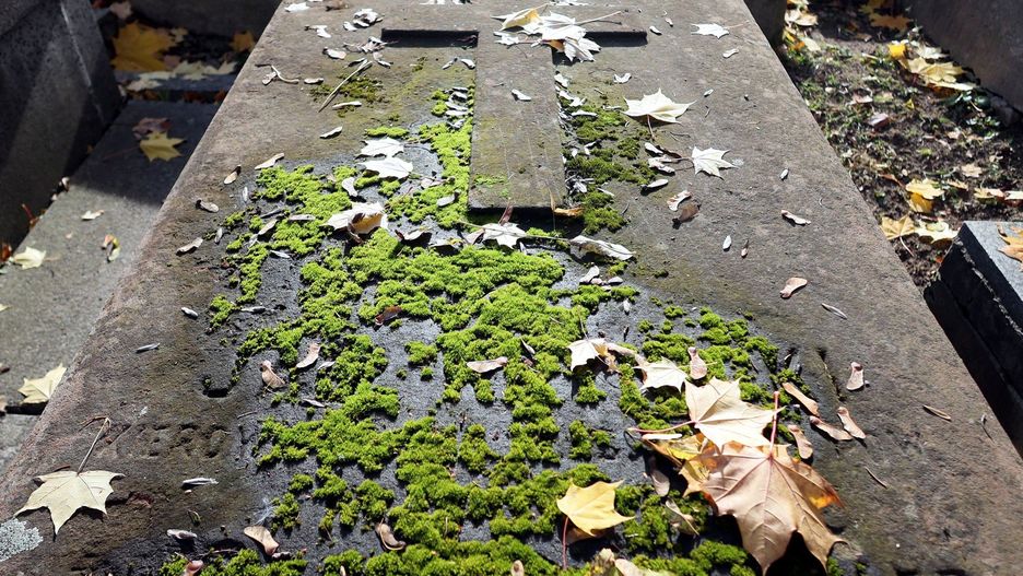 Kupujemy jedynie prawo do korzystania i decydowania o pochówkach w danym miejscu