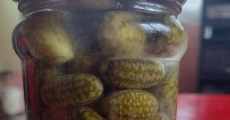 Przypomina miniaturowego arbuza. Mysi melon pomoże w walce z wrzodami, zaparciami, a nawet groźnym rakiem