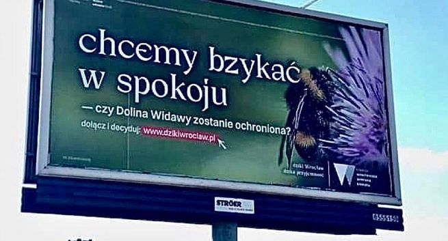 "Chcemy bzykać w spokoju", "Kochaj, nie rżnij" i "Chcemy mieć mokro" w kampanii wrocławskich ekologów