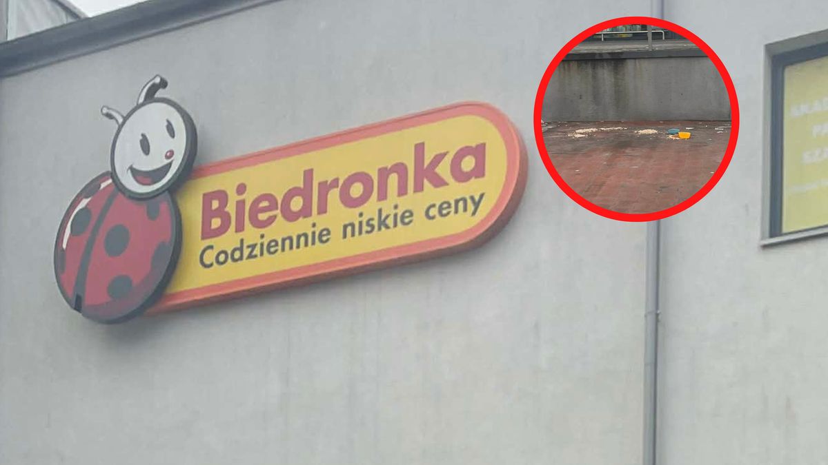 Miseczki przed Biedronką. Ktoś postanowił zadbać o koty.