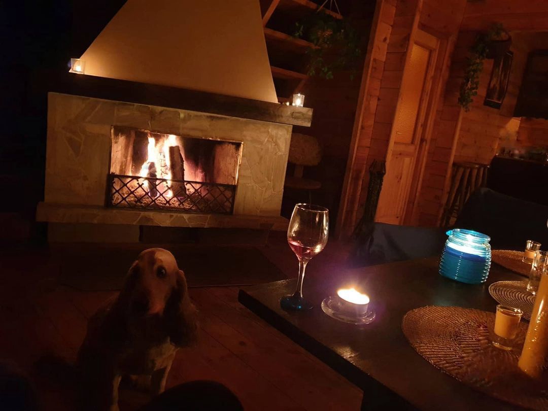 Mieszkanie Katarzyny Skrzyneckiej