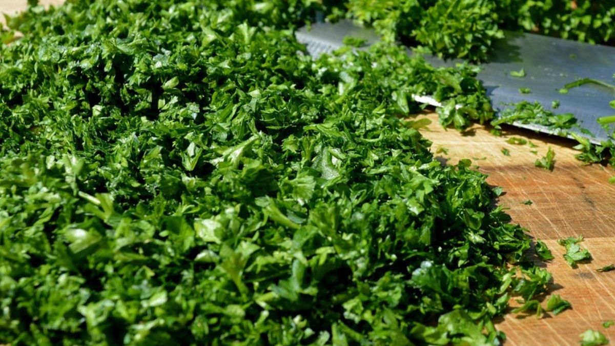 Natka pietruszki to bogactwo luteoliny