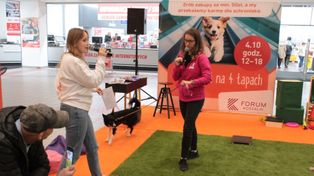 Koszalin: Światowy Dzień Zwierząt. DogoEvent w Forum