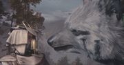 Soulframe. Nowa gra MMO od twórców Warframe na zwiastunie