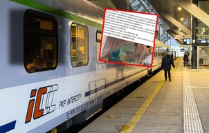 Pokazała zdjęcie z pociągu. "5 zajętych miejsc, bo pieski jadą"