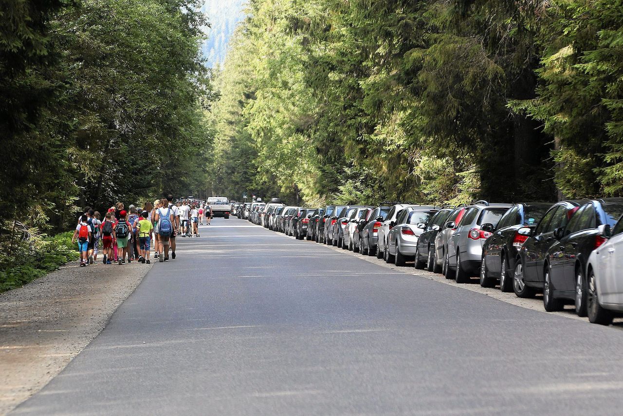 Parking dla samochodów