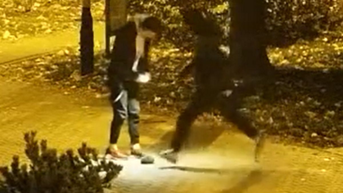 Jeż nie przeżył tortur