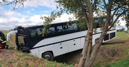 Autobus z przedszkolakami wypadł z drogi. 14 osób trafiło do szpitala