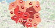 Koronawirus w Polsce zbiera żniwa. Prawie 30 tys. chorych i kolejne ofiary śmiertelne [Mapa]