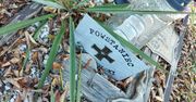 Legnica: Groby powstańców wielkopolskich zagrożone