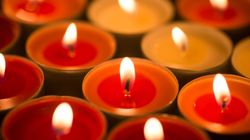 Trująca ozdoba. Szczególnie popularna w czasie świąt