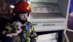 Wrzuciła psa do kontenera. Strażacy bohaterami