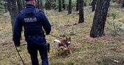Dramat w trakcie grzybobrania. Interweniowała policja