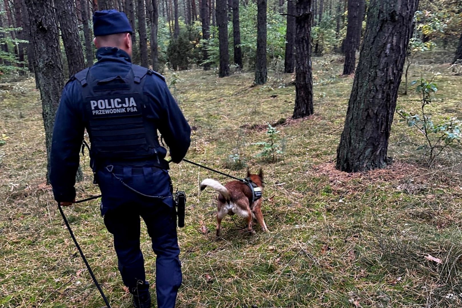 Dramat w trakcie grzybobrania. Interweniowała policja