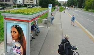 Warszawa. Zielone przystanki. Trochę więcej tlenu i nowy raj dla owadów