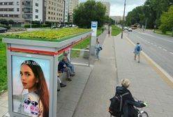 Warszawa. Zielone przystanki. Trochę więcej tlenu i nowy raj dla owadów