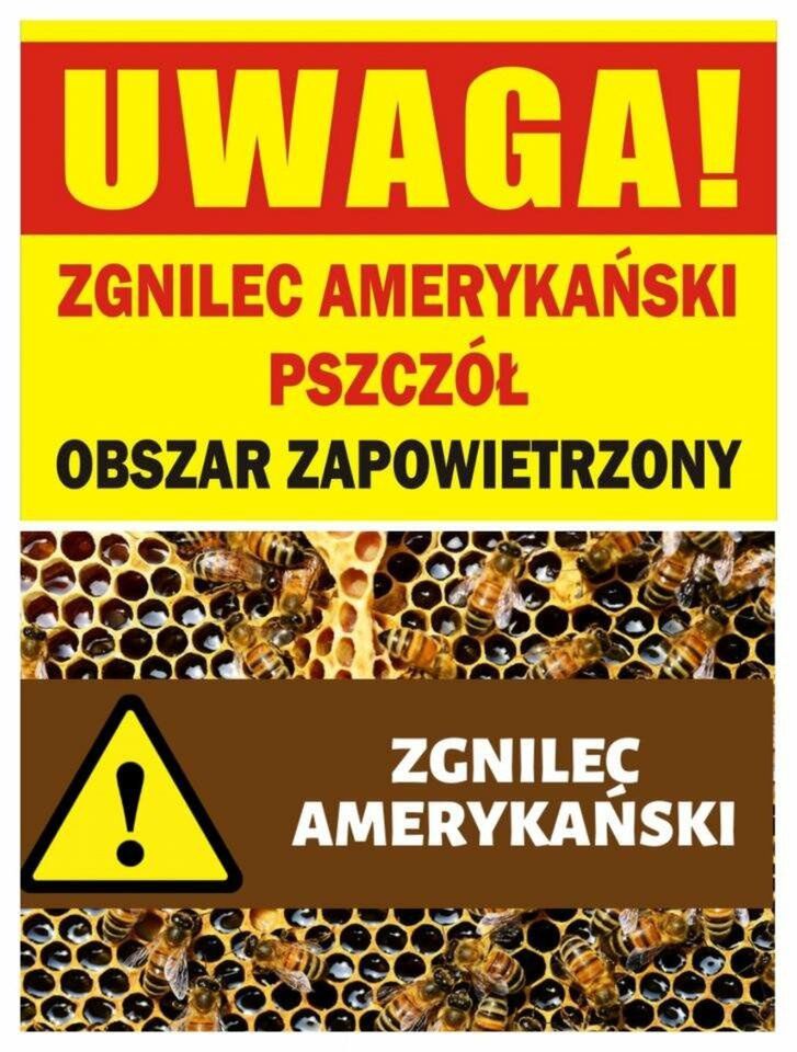 Ogniska zgnilca amerykańskiego wykryto w Wawrowie i Starym Polichnie.