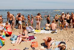 Pracuje w barze na plaży. Zdradza kulisy