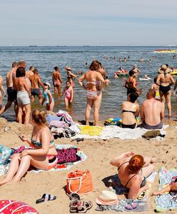 Pracuje w barze na plaży. Zdradza kulisy