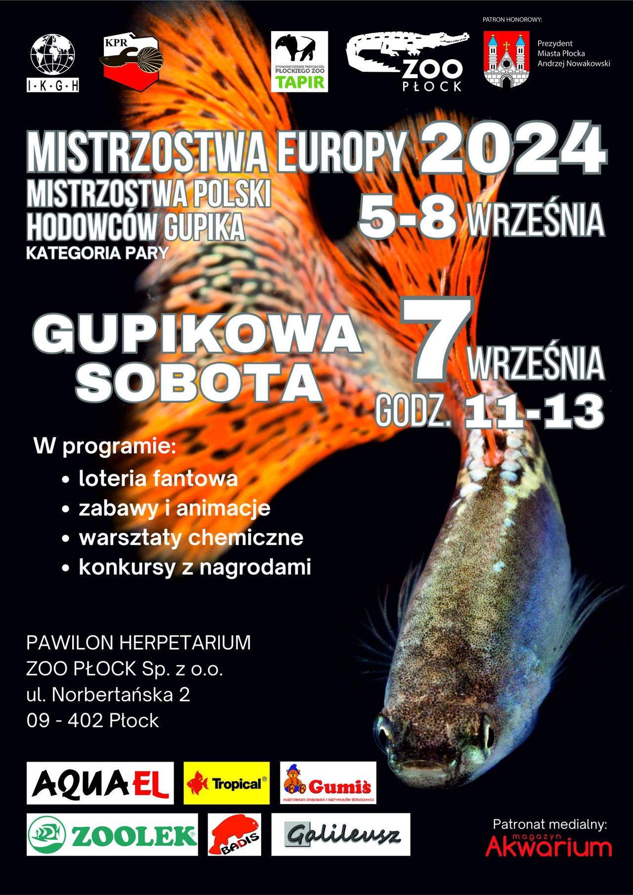 Mistrzostwa Europy i Polski Hodowców Gupika