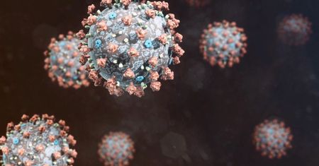 Koronawirus straszy. Czego Polacy boją się w epidemii?