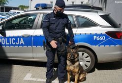 Śląskie. 83-letnia kobieta wyszła nocą ze szpitala. Jak "Kira" odnalazła zagubioną pacjentkę