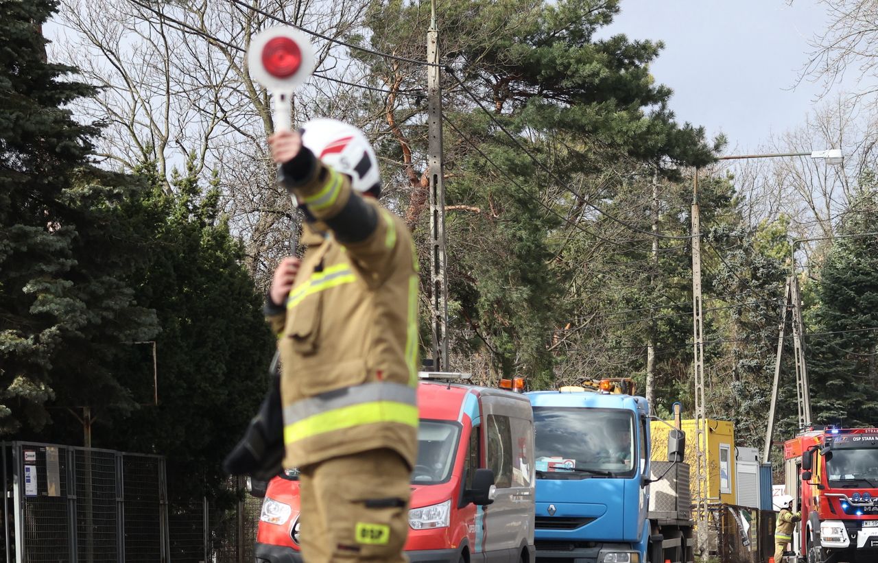 Gdańsk. Zamknięte cmentarze komunalne i Park Oliwski (zdj. ilustracyjne)