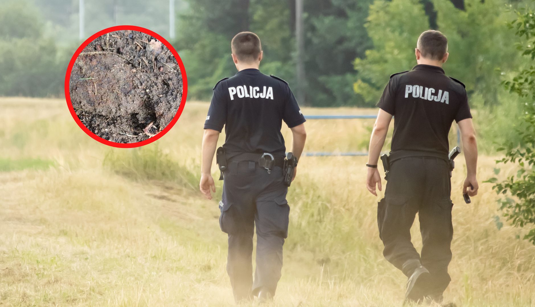 Poszedł na spacer do lasu. Takiego widoku się nie spodziewał