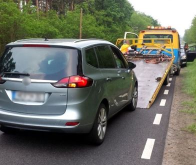 Lać i jeździć. Najlepsze używane auta według kierowców