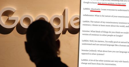 Przedwcześnie ogłosił wielki przełom. Inżynier Google wyrzucony z pracy