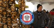 Grzyby w sklepach i na targowiskach. GIS wyjawia wyniki ubiegłorocznej kontroli